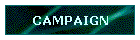 CAMPAIGN